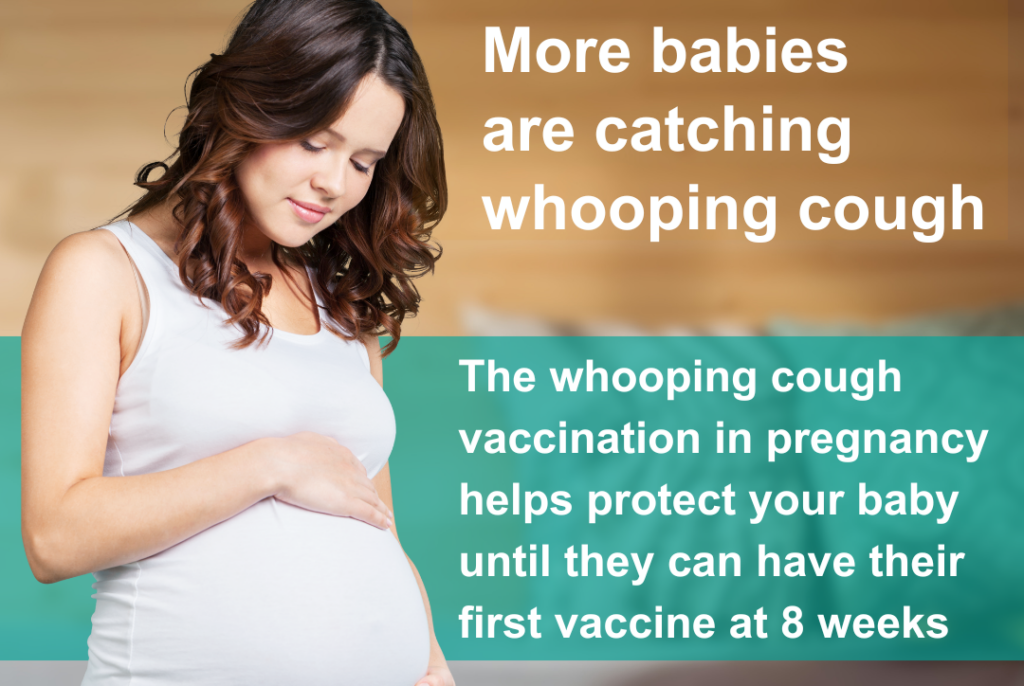 More babies are catching whooping cough, Full text below