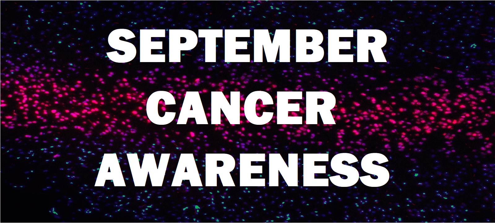 SEPTEMBER CANCER AWARENESS BANNER 2